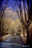 /album/fotogaleria-fotografia-infraroig/f-2-2-640x480-jpg1/